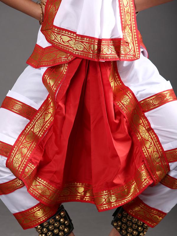 Bharatanatyam Costumes Yellow & Maroon – Sanskriti Fancy Dresses
